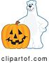 Vector Illustration of a Cartoon Polar Bear School Mascot with a Halloween Jackolantern Pumpkin by Mascot Junction
