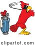 Vector Illustration of a Cartoon Red Cardinal Bird Mascot Golfing by Mascot Junction