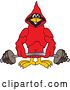 Vector Illustration of a Cartoon Red Cardinal Bird Mascot Lifting a Barbell by Toons4Biz