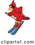 Vector Illustration of a Cartoon Red Cardinal Bird Mascot Skiing by Mascot Junction