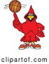 Vector Illustration of a Cartoon Red Cardinal Bird Mascot Spinning a Basketball by Mascot Junction