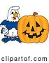 Vector Illustration of a Cartoon Seahawk Mascot by a Halloween Jackolantern Pumpkin by Mascot Junction