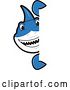 Vector Illustration of a Cartoon Shark School Mascot Looking Around a Sign by Mascot Junction
