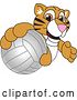 Vector Illustration of a Cartoon Tiger Cub Mascot Grabbing a Volleyball by Toons4Biz