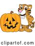 Vector Illustration of a Cartoon Tiger Cub Mascot with a Halloween Pumpkin by Mascot Junction