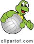 Vector Illustration of a Cartoon Turtle Mascot Catching or Holding out a Volleyball by Mascot Junction