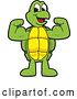 Vector Illustration of a Cartoon Turtle Mascot Flexing His Muscles by Mascot Junction