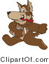 Vector Illustration of a Cartoon Wolf Mascot Playing Football by Mascot Junction