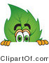 Vector Illustration of a Green Leaf Mascot Scared and Peeking over a Surface by Mascot Junction