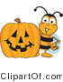 Vector Illustration of a Honey Bee Mascot with a Carved Halloween Pumpkin by Mascot Junction