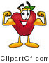 Vector Illustration of a Red Apple Mascot Flexing His Arm Bicep Muscles by Mascot Junction