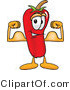 Vector Illustration of a Red Hot Chili Pepper Mascot Flexing His Arm Muscles by Toons4Biz