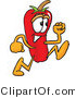 Vector Illustration of a Red Hot Chili Pepper Mascot Running by Mascot Junction
